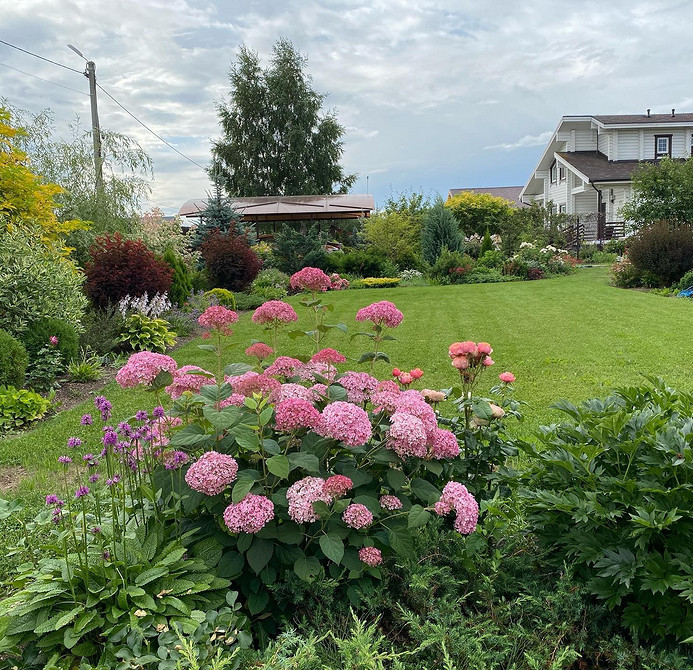 Композиція з каменем Садові композиції з гортензіями: дизайн квітника з камінням та іншими рослинами.