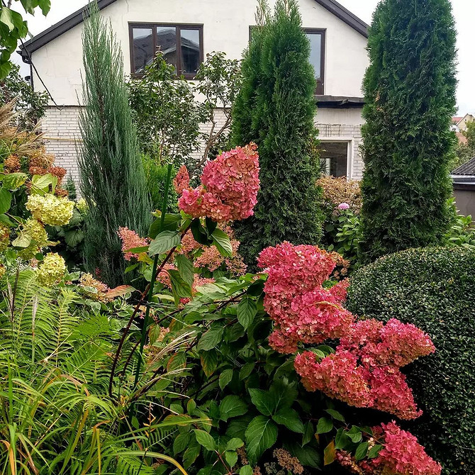 Гортензія та партнери Гортензія в ландшафтному дизайні: чудові ідеї для поєднання з іншими рослинами.