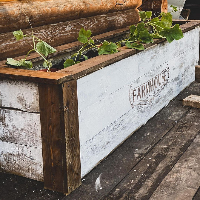 Організація грядки огірків Вирощування огірків у відкритому грунті, приклад організації простору та підтримки рослин.