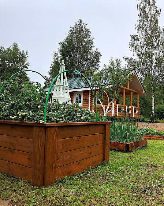 Грядки для огірків Різні види грядок для вирощування огірків у відкритому ґрунті, схеми посадки.