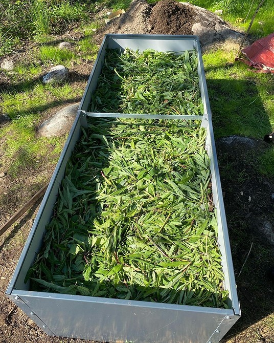 Грядка з дерева для огірків Саморобна грядка для огірків, вирощених у відкритому ґрунті, з використанням дерев'яних дощок.