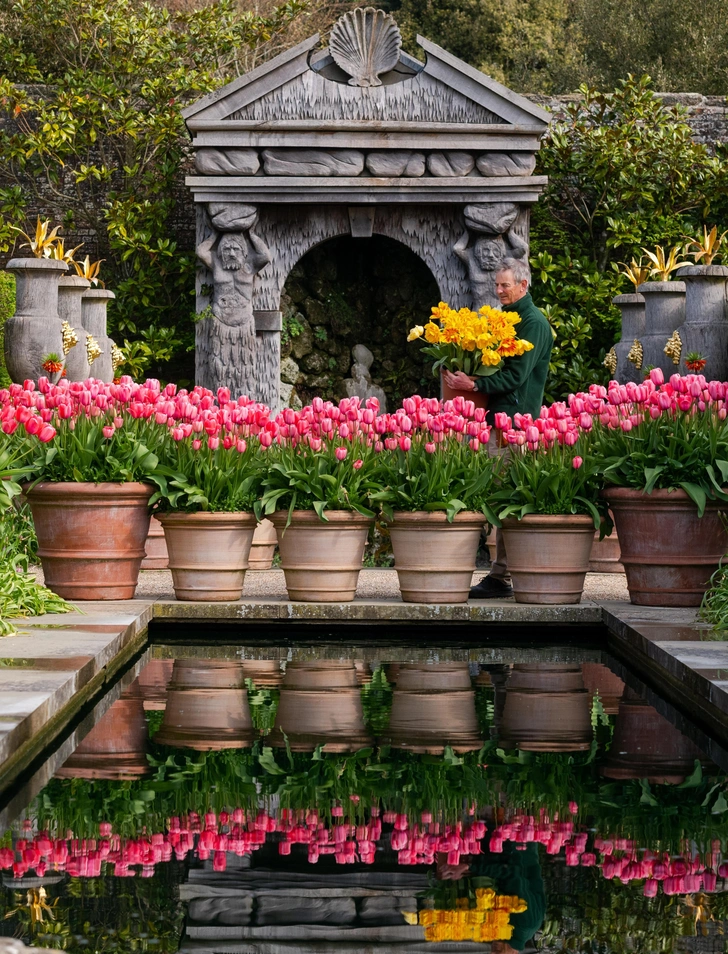 Весняна посадка тюльпанів Підготовка цибулин тюльпанів до весняної посадки: огляд та відбір