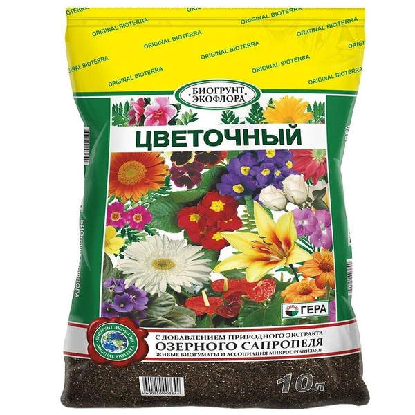 Квітучий сад Результат весняної посадки: квітучі тюльпани різних кольорів у саду