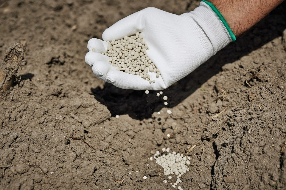 Городні грядки Свіжо розпушений ґрунт на городній грядці, готовий до внесення добрив.