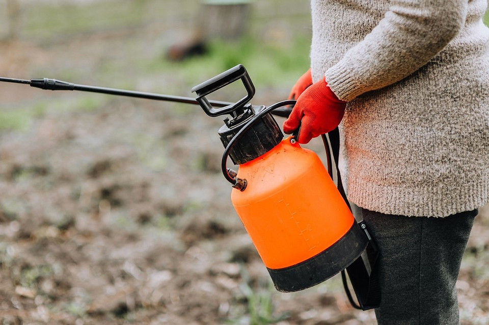 Здоров'я рослин Здоровий ґрунт, насичений поживними речовинами, для вирощування міцних та врожайних рослин.