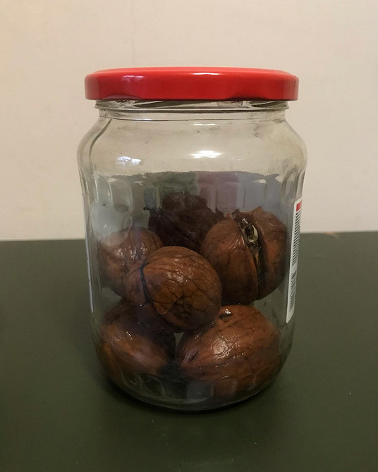 Процес посадки горіха Процес посадки саджанця волоського горіха у підготовлену яму.