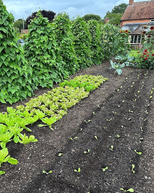 Дизайн городу 2026 Планування городу та ландшафтний дизайн 2026: оптимізація простору на ділянці з ухилом.