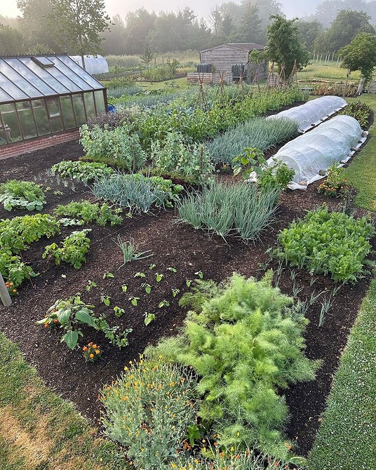 Планування городу на схилі Схематичне зображення ідеального розташування грядок для городу на ділянці з природним ухилом.