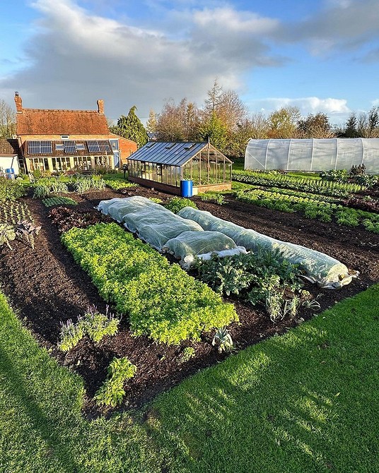 Готові схеми грядок Готові схеми розташування грядок: поради для отримання максимального врожаю.