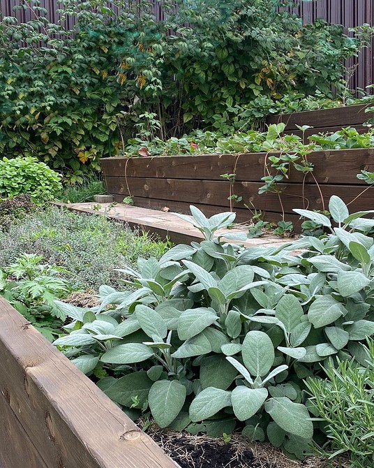 Розташування грядок на ухилі Схема розташування грядок на ділянці з ухилом: поради для ефективного городництва у 2026 році.