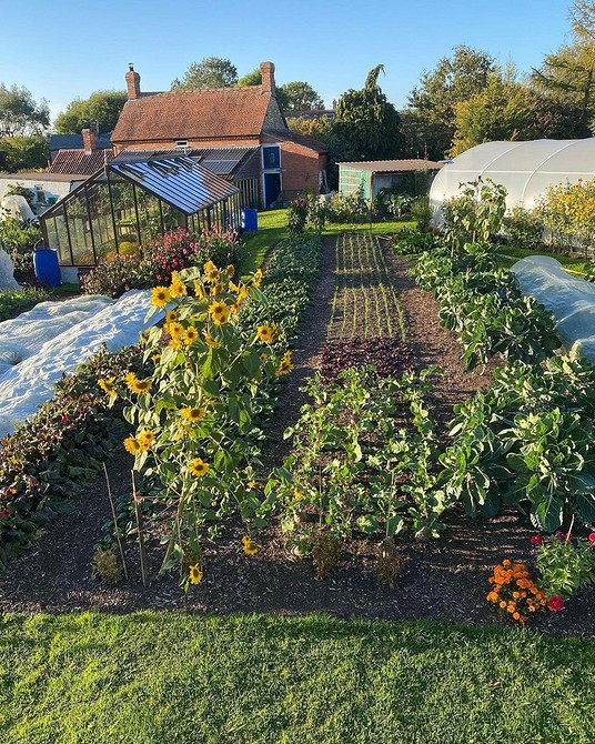 Принципи розташування грядок Принципи правильного розташування грядок на сонячній ділянці для врожаю 2026.