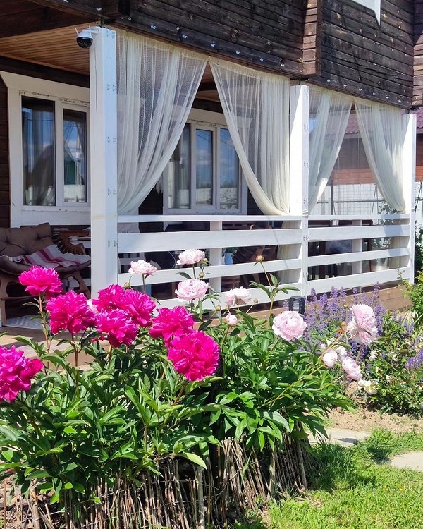 Елегантні штори Садові штори 2026: елегантний захист від сонця на терасі заміського будинку.