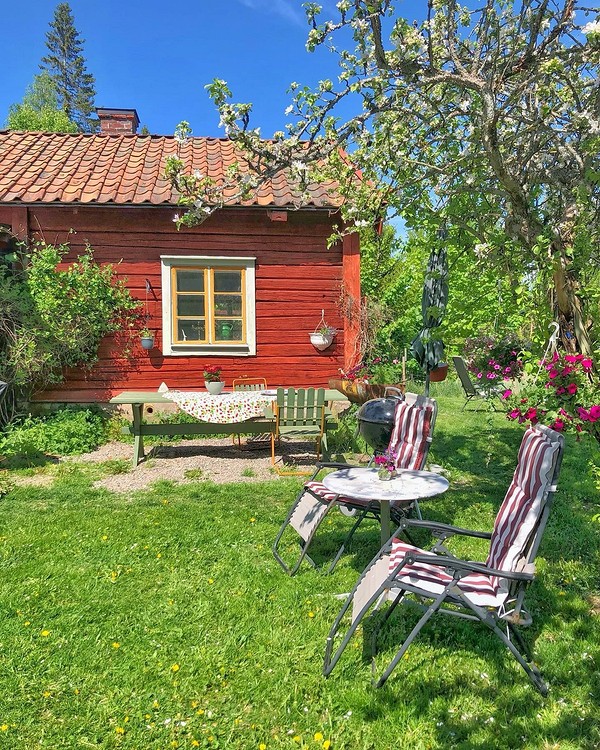 Тінь від дерев Швидкорослі дерева для тіні: мальовничий куточок саду із захистом від сонця.