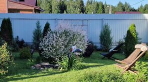 Тінь на ділянці 2026: 7 ідей затишку та захисту від сонця — Затінення сонячної ділянки