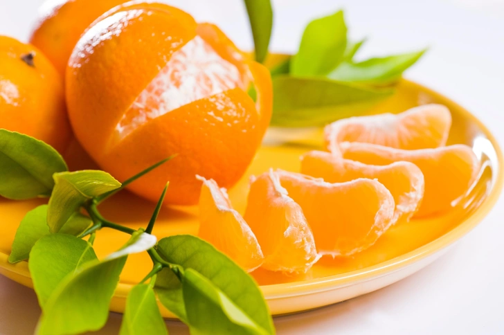 Активний ріст Проросток мандарина, що демонструє активний ріст, вирощений з кісточки для домашнього вирощування цитрусових.