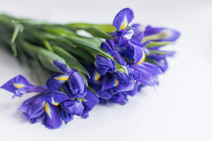 Яскравий букет для свята Веселий букет різнокольорових квітів, що ідеально підійде для святкування 8 Березня 2026.