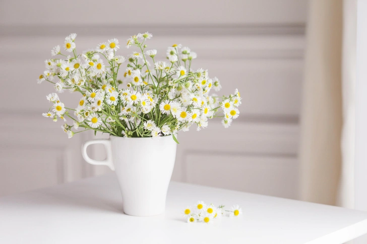 Сезонні квіти на 8 Березня Яскраві сезонні квіти, зібрані в композицію до 8 Березня.