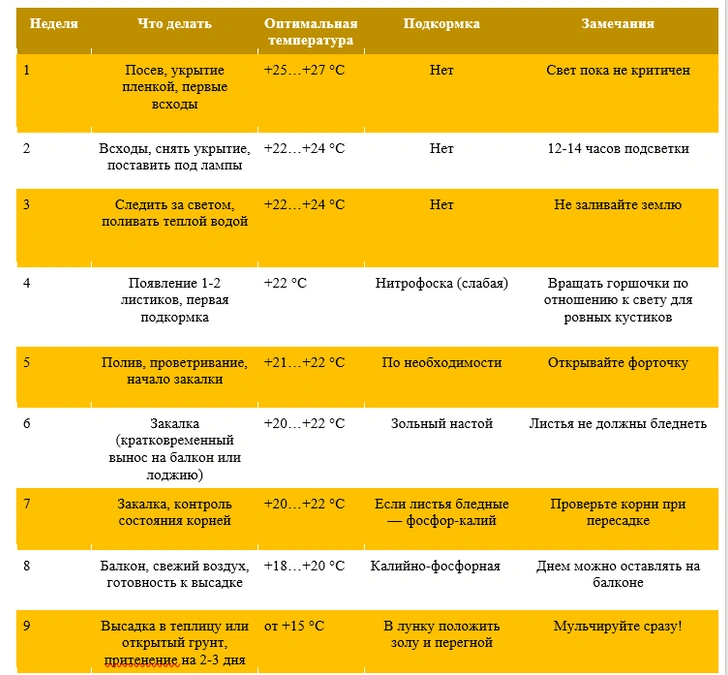 Висадка насіння перцю Руки садівника, що висаджують насіння перцю в ґрунт для розсади.