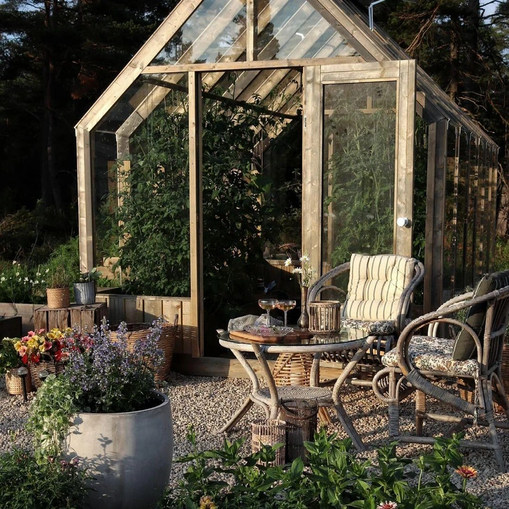 Помідори в теплиці Розсада помідорів, що вирощується в теплиці, для раннього врожаю 2026 року.