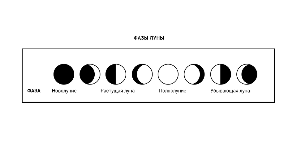 Фази Місяця 2026 Графічне представлення місячного календаря 2026 для планування садово-городніх робіт.