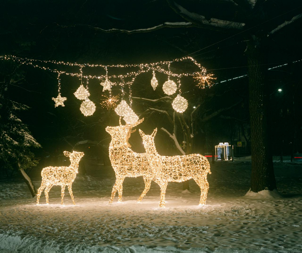 Фасад в новорічних вогнях Ідеї вуличного освітлення 2026: новорічні гірлянди на фасаді приватного будинку
