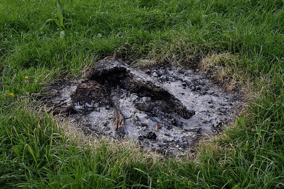 Секрети врожаю помідорів Підживлення помідорів під час цвітіння: як отримати щедрий врожай соковитих плодів.
