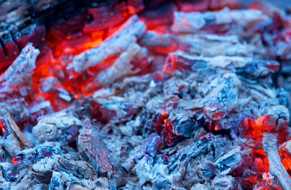 Аптечка для саду Крупний план садової аптечки з різними препаратами для захисту рослин