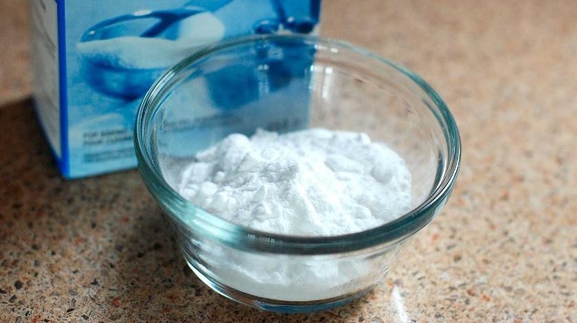 Пошкодження попелицею Свіжий зелений лист з ознаками пошкодження попелицею, видно сліди її життєдіяльності