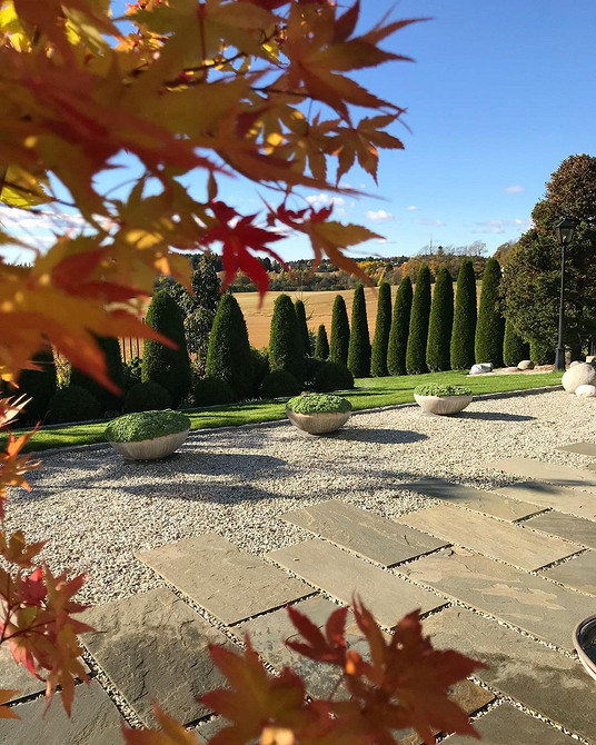 Туї у ландшафті Дизайн саду з туями: варіанти посадки вздовж паркану для гармонійного вигляду