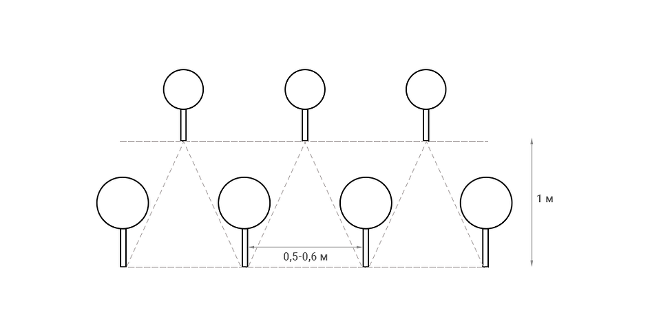 Дизайн з туями Туї вздовж огорожі: приклад ландшафтного дизайну з використанням туй як живоплоту.