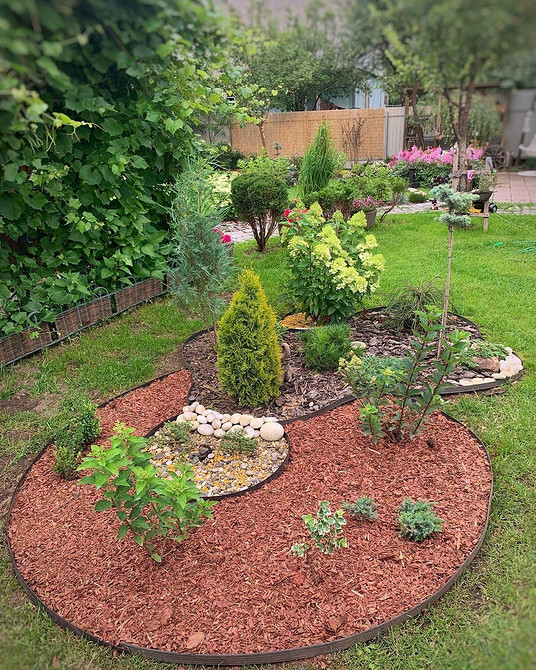 Догляд за туями Туї вздовж огорожі: як правильно посадити та доглядати за туями.