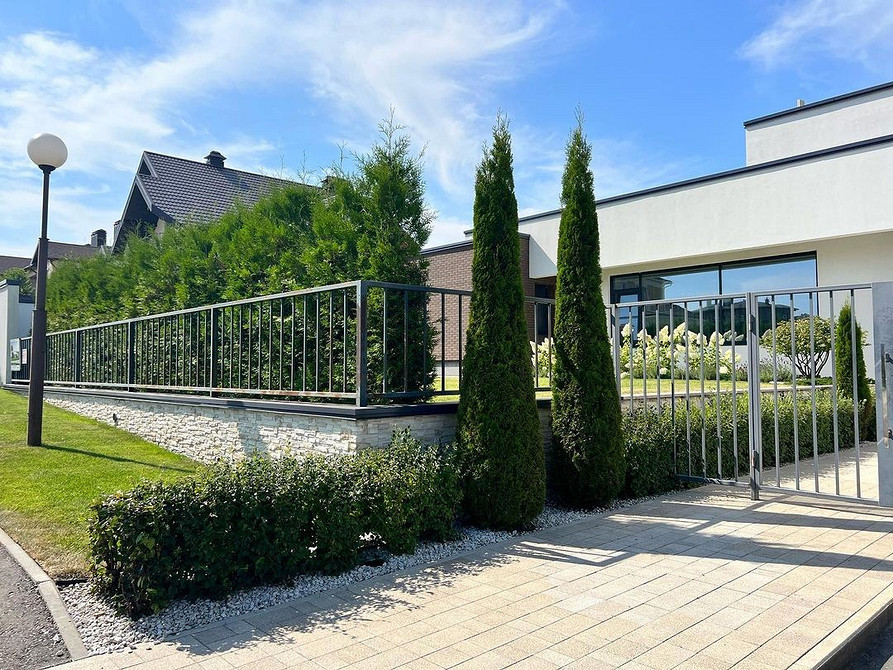 Зонування туями Приклад живоплоту з туй: ідеальне рішення для зонування саду біля паркану