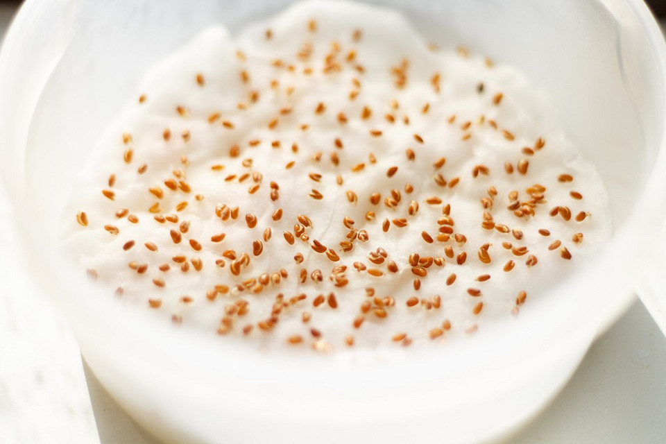 Підвищення схожості Рука обережно викладає замочене насіння на вологу тканину для подальшого пророщування.