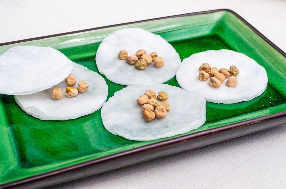 Стимуляція проростання Проростки насіння, що з'явилися після замочування, демонструють успішну стимуляцію проростання.