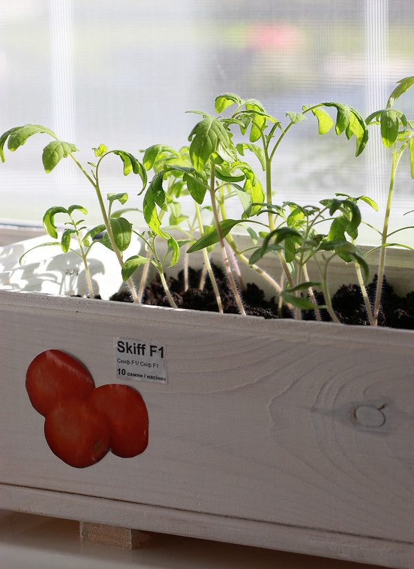 Підготовка до посіву Набір картонних лотків, готових до використання для посіву насіння та вирощування розсади.