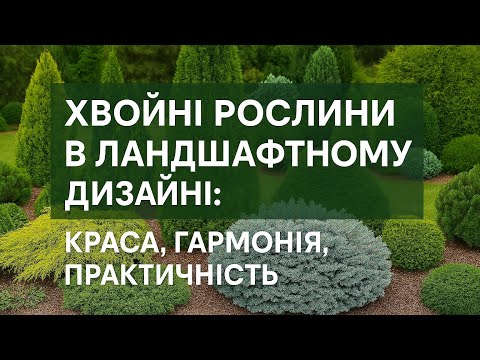 Хвойні рослини в ландшафтному дизайні: Секрети гармонійного саду на цілий рік! - 33 - SeWerIn