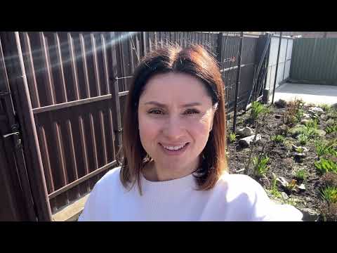 Туї та ялівці: 5 фатальних помилок при посадці, щоб ваш двір не виглядав жахливо! - 29 - SeWerIn