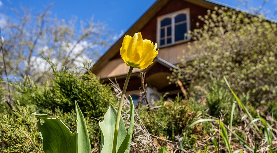 Весняна обрізка саду Весняна обрізка плодових дерев для стимуляції росту та врожаю.