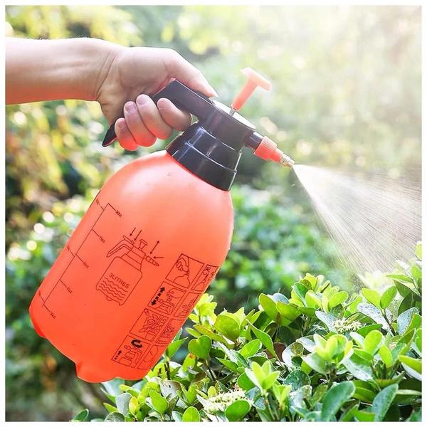 Чистий город Доглянутий город без ознак пирію, що свідчить про ефективну боротьбу.