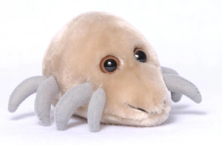 Пиловий кліщ: реальність Мікроскопічне зображення пилового кліща, що викликає алергію на пил та проблеми з диханням.