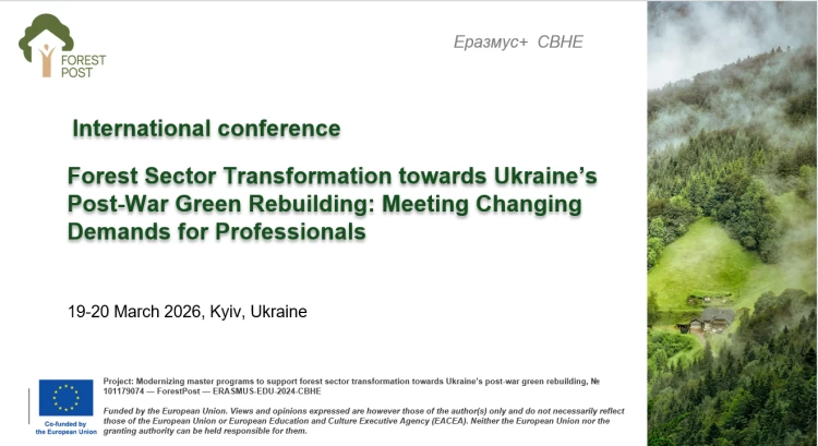 Нові Горизонти для Українських Меблів: МДФ та ДСП у Фокусі - 6 - SeWerIn Нові Горизонти для Українських Меблів: МДФ та ДСП у Фокусі