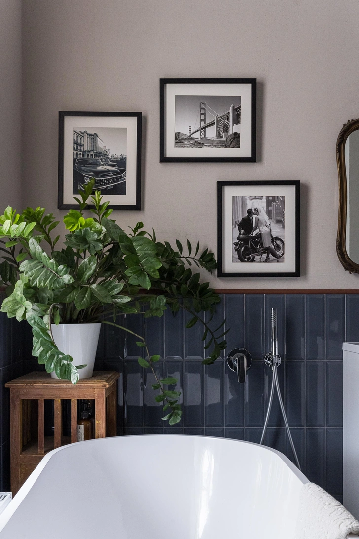 Рослини в темряві Темна кімната з кімнатними рослинами: як створити затишний куточок природи.