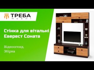 Сучасна стінка у вітальню: огляд моделі Соната